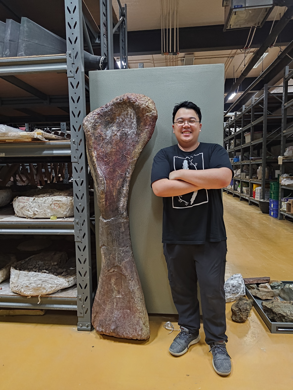 Thitiwoot Sethapanichsakul standing up is about the same height as the front leg bone (humerus).